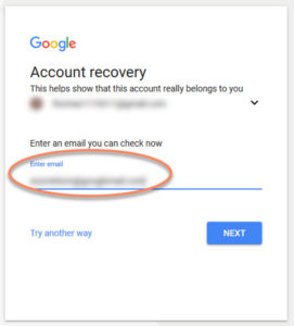 Google Account Recovery - type email you can check now