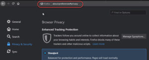 Image showing Privacy and Security section in Firefox browser