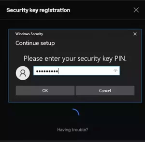 Security Key pin request dialog.