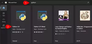 Python 3.8 in the Microsoft Store.